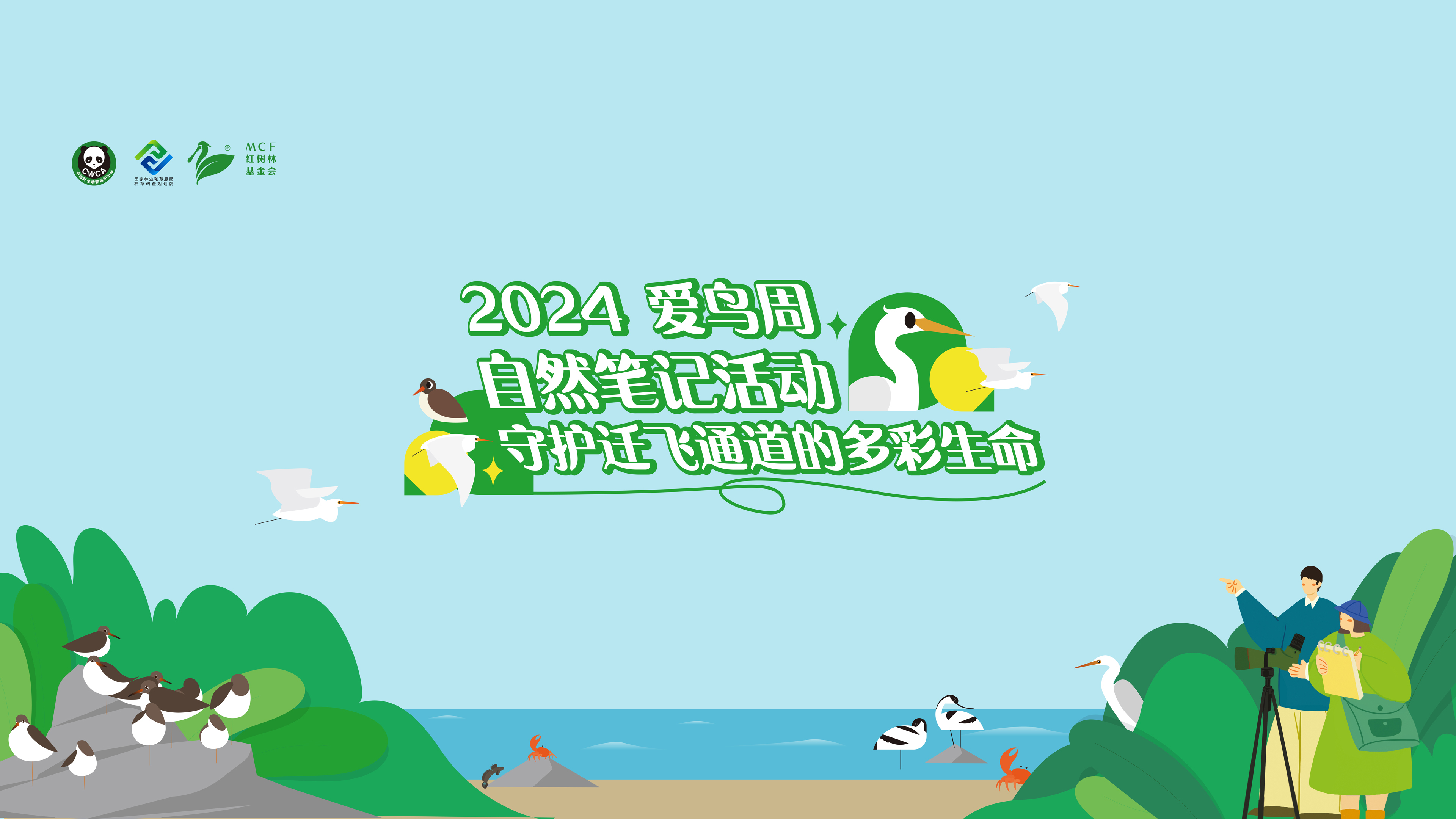 守护迁飞通道的多彩生命！2024爱鸟周自然笔记活动投稿开始