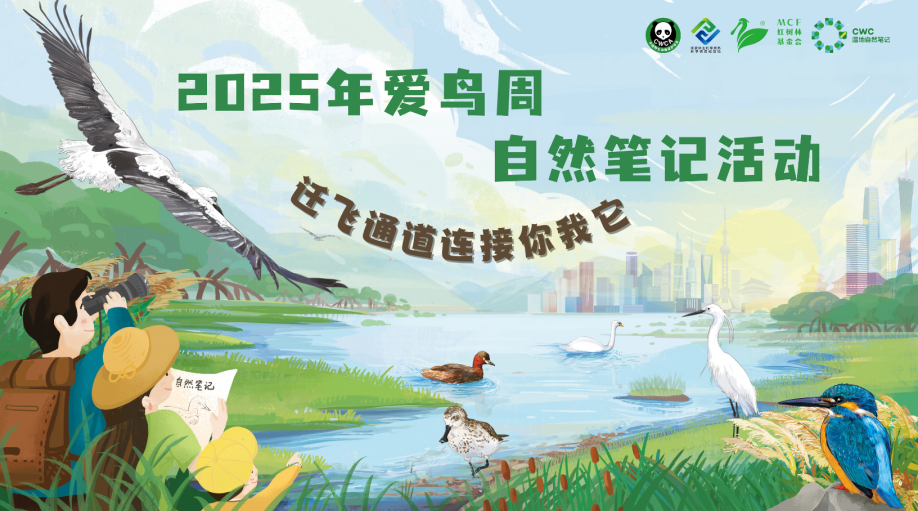 2025爱鸟周自然笔记活动回顾
